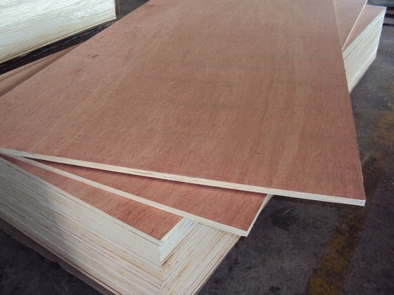 1220X2440mm Plywood Board E1 Glue Poplar Core and Hardwood Core 2 Times Hot Pressed for Furniture