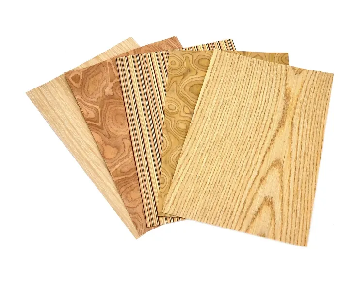 Walnut Veneer Detail 2