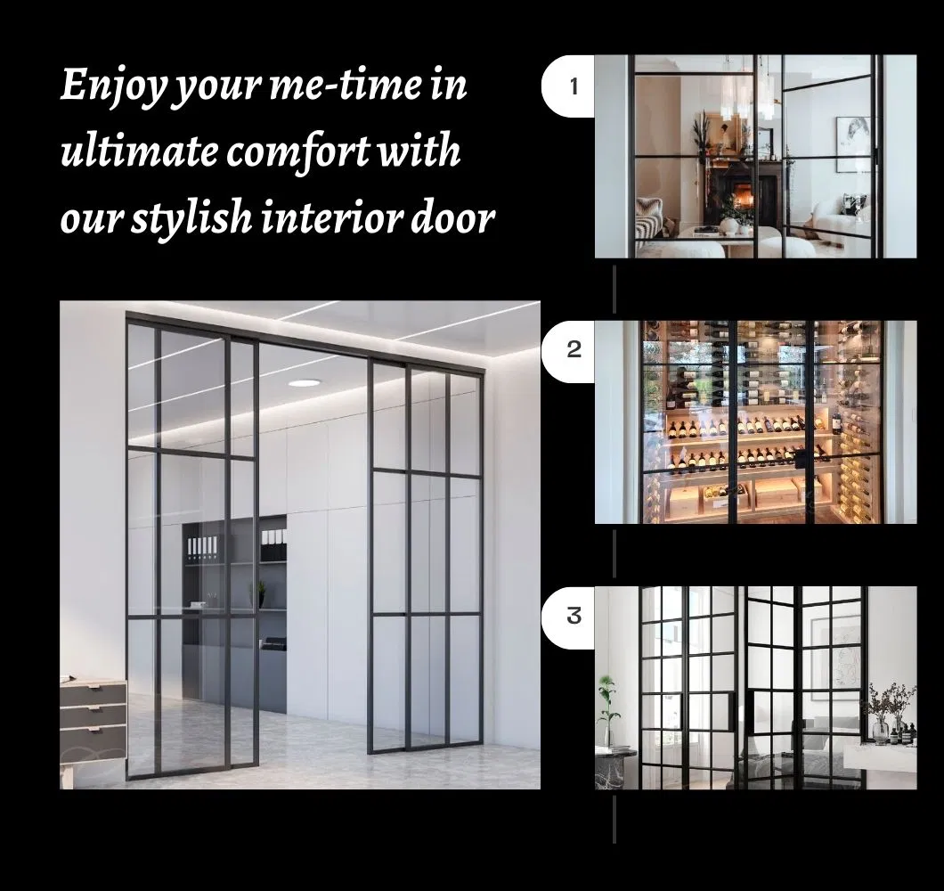 Interior French Style Steel Glass Doors