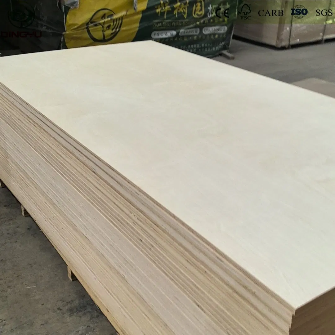 Birch Plywood Hardwood Core Eucalyptus Core