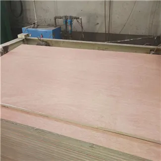 Bintangor plywood