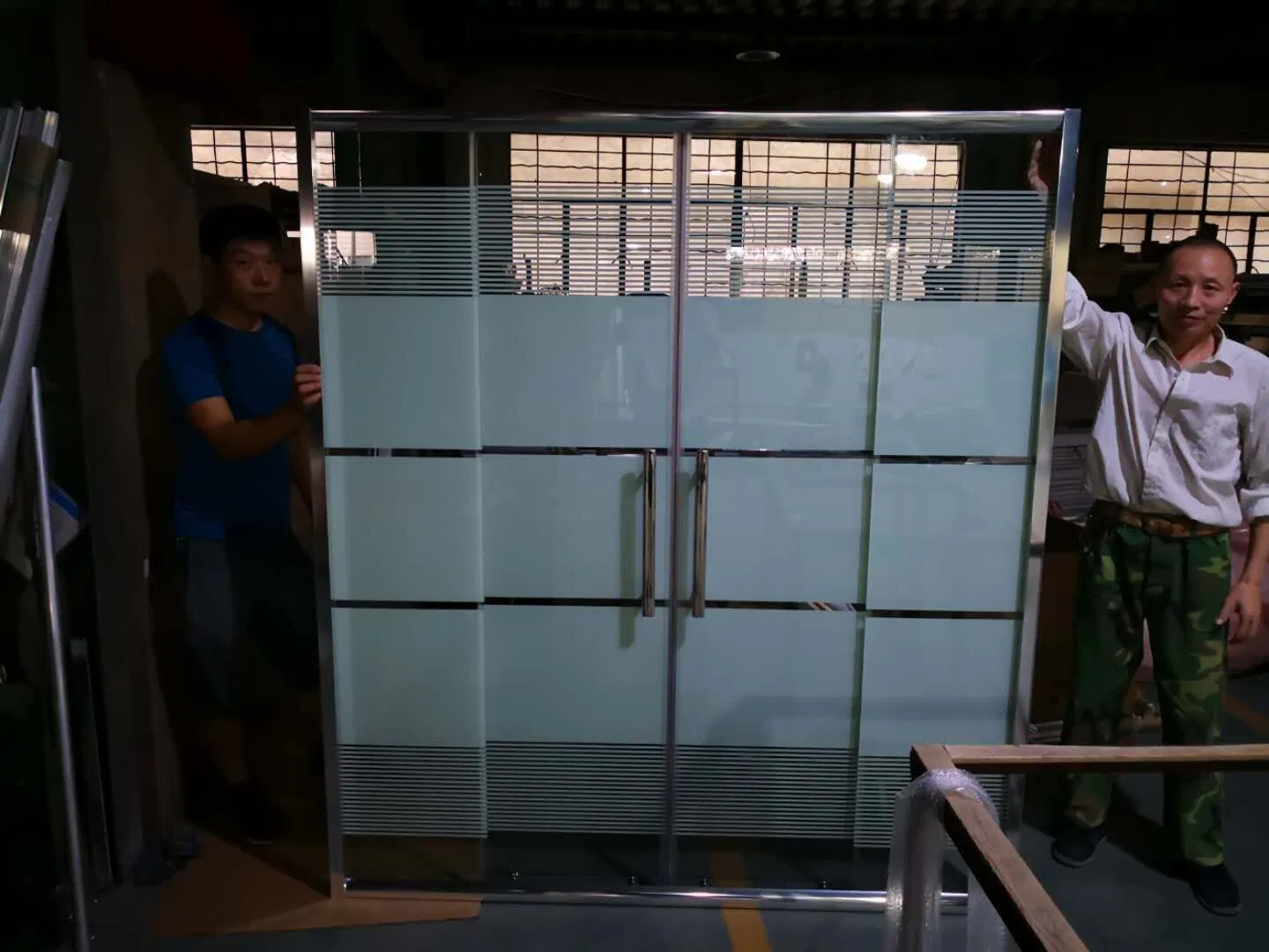 High Quality Tempered Glass Shower Screen/Shower Door (TL-488)