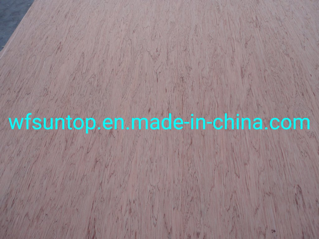Good Quality Bintangor Veneer Face/Back Plywood Okoume Plywood Hardwood Plywood