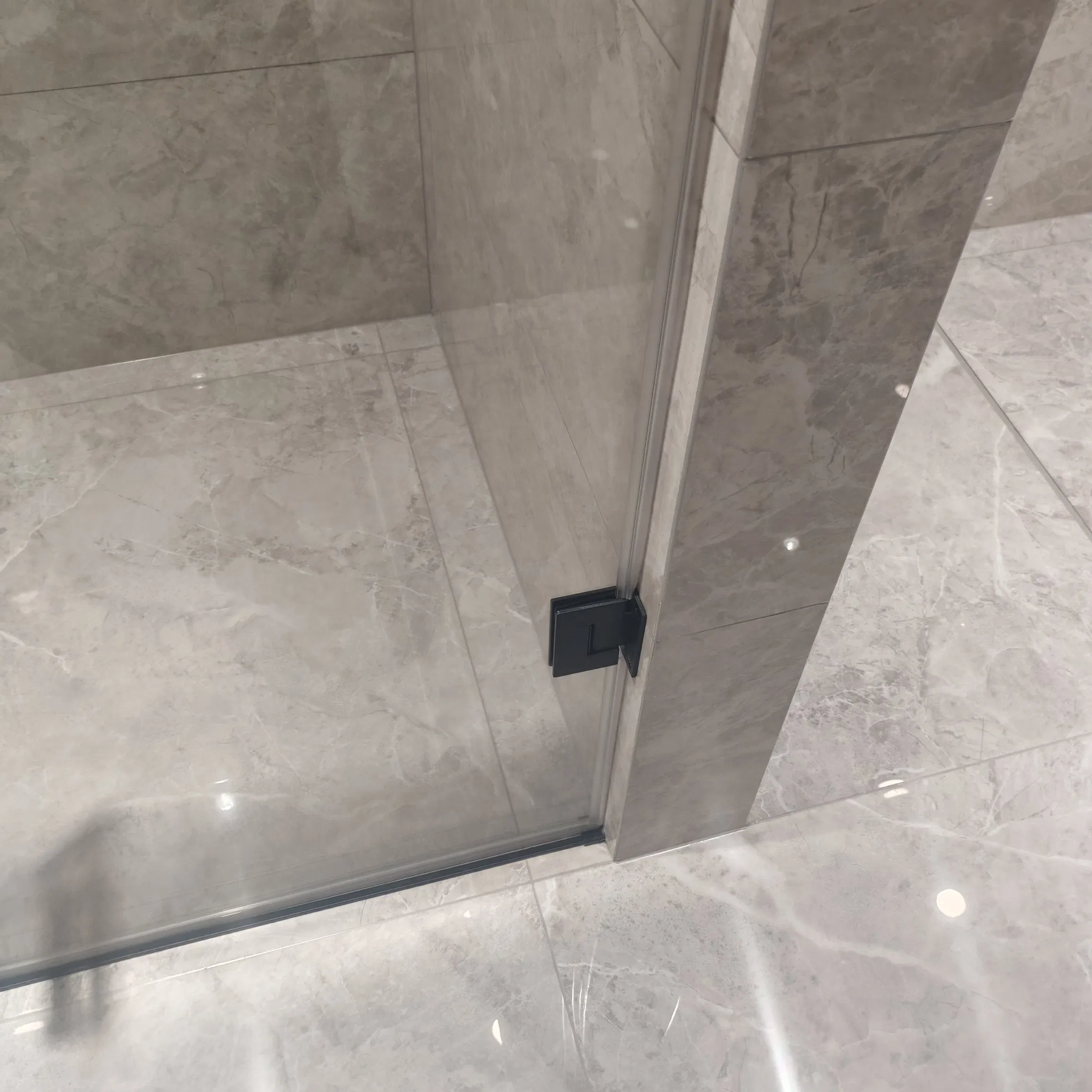 Modern Bathroom New Product High Quality Stainless Steel Pivot Hinge Shower Door