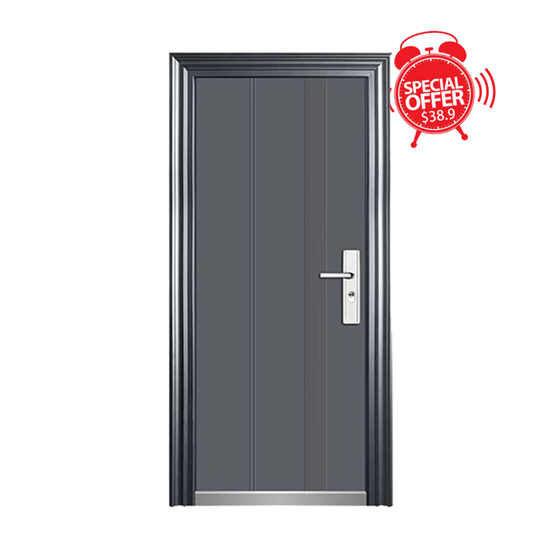 Custom Size Anti-Corrosion Steel Security Screen Door Powder Coated for House Office