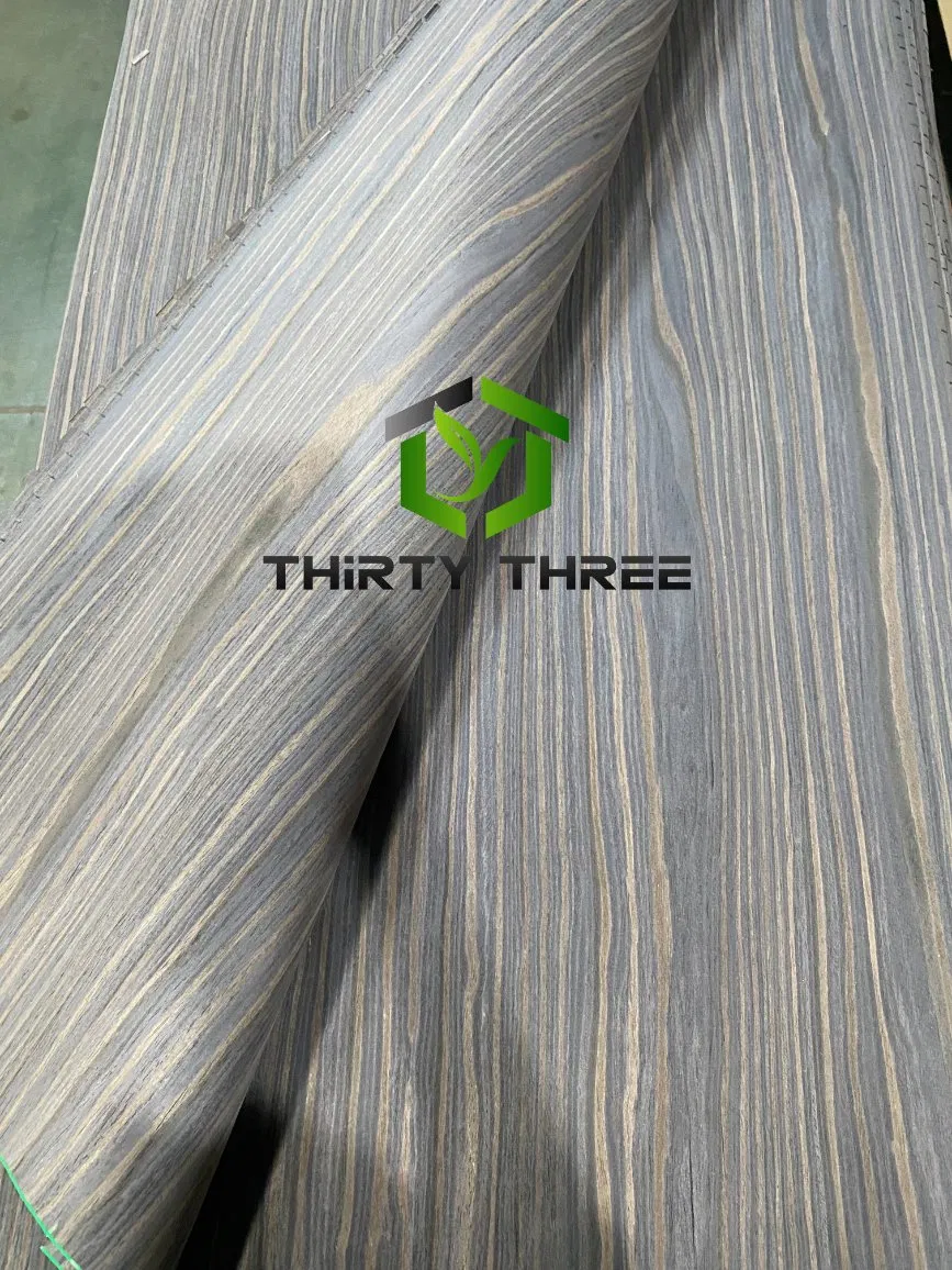 China Professional Manufacturer Frameless Secret Doors Engineered Veneer Wood Veneer