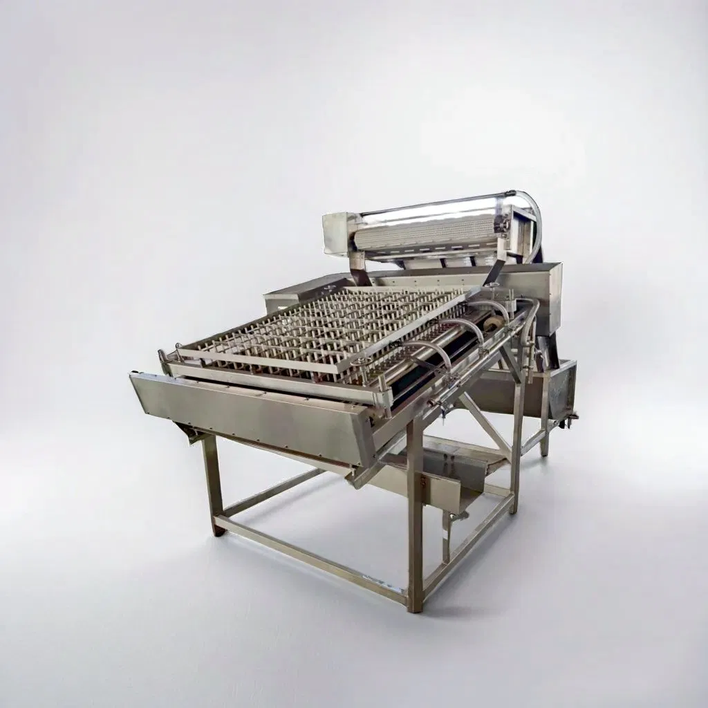 IQF Freezing Shrimp Processing Machines Frozen Seafood Production Line