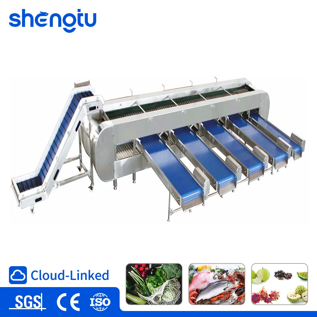 Industrial Automatic Low-Noise Vegetable Weight Sorting Equipment Food Grade