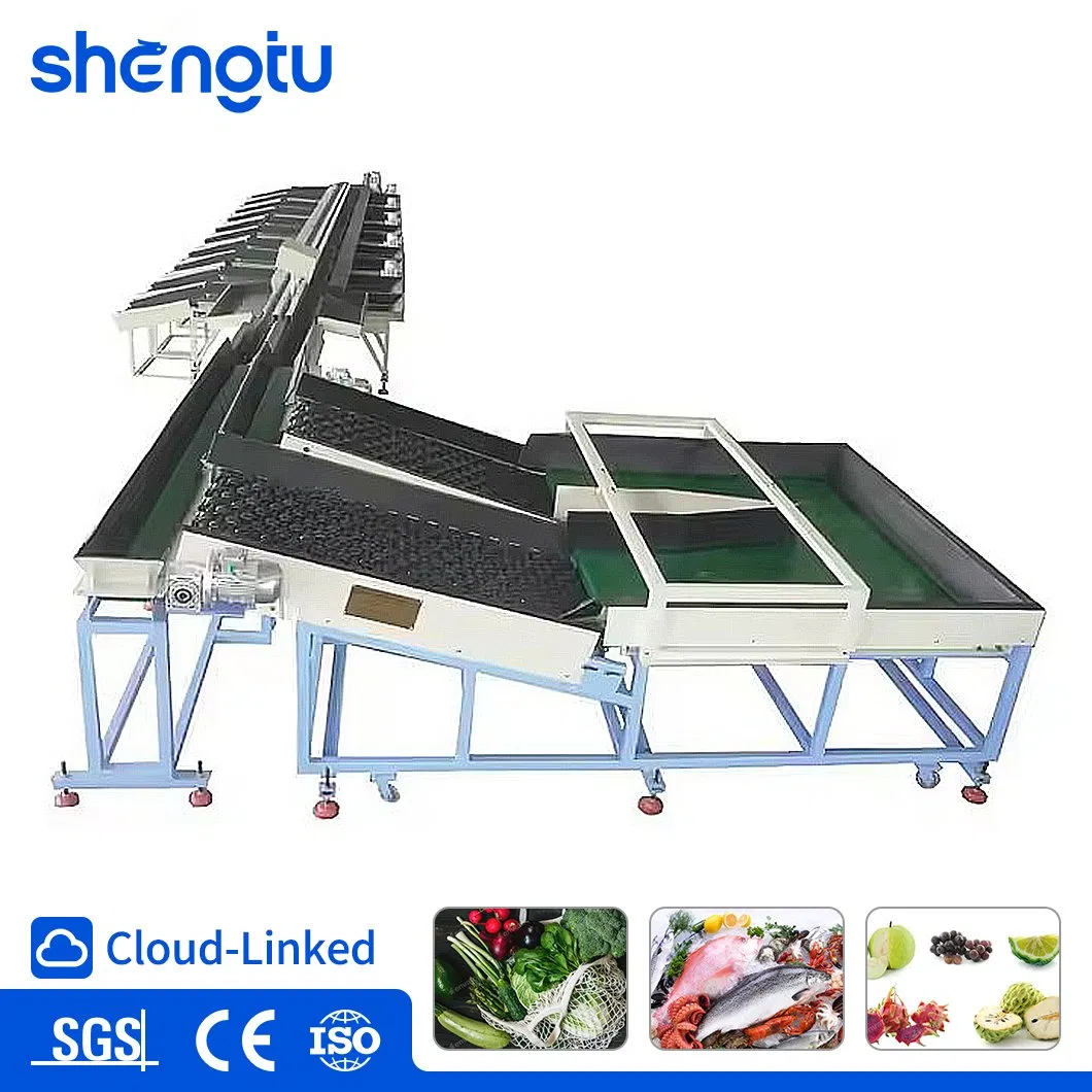 Industrial Gravity Recycling Separation Sorting Equipment for Recycling Plant OEM