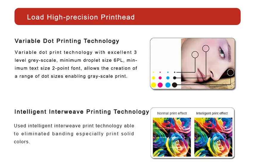 UV Flatbed Printer Detailed View