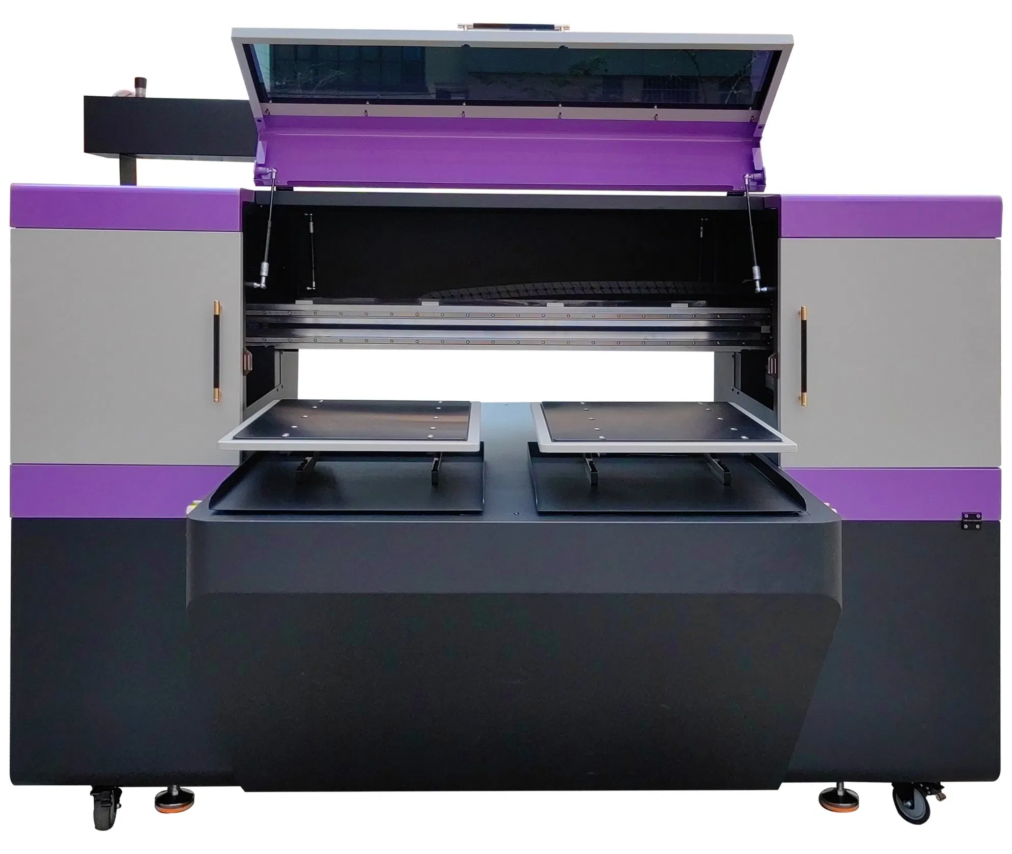 Yinghe DTG Dual-Station Direct-to-Garment Printer