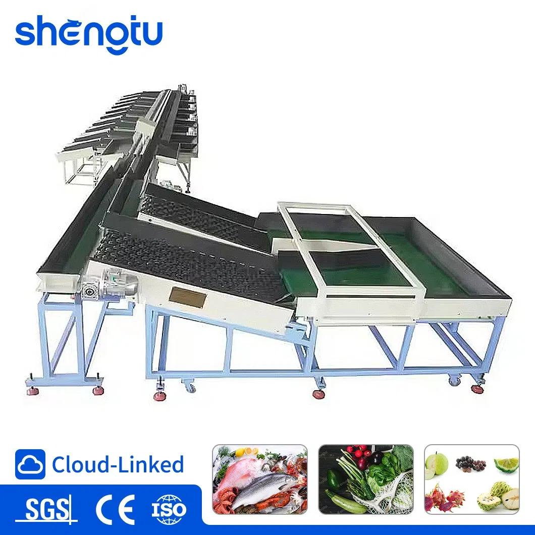 Industrial Automatic Low-Noise Vegetable Weight Sorting Equipment Food Grade