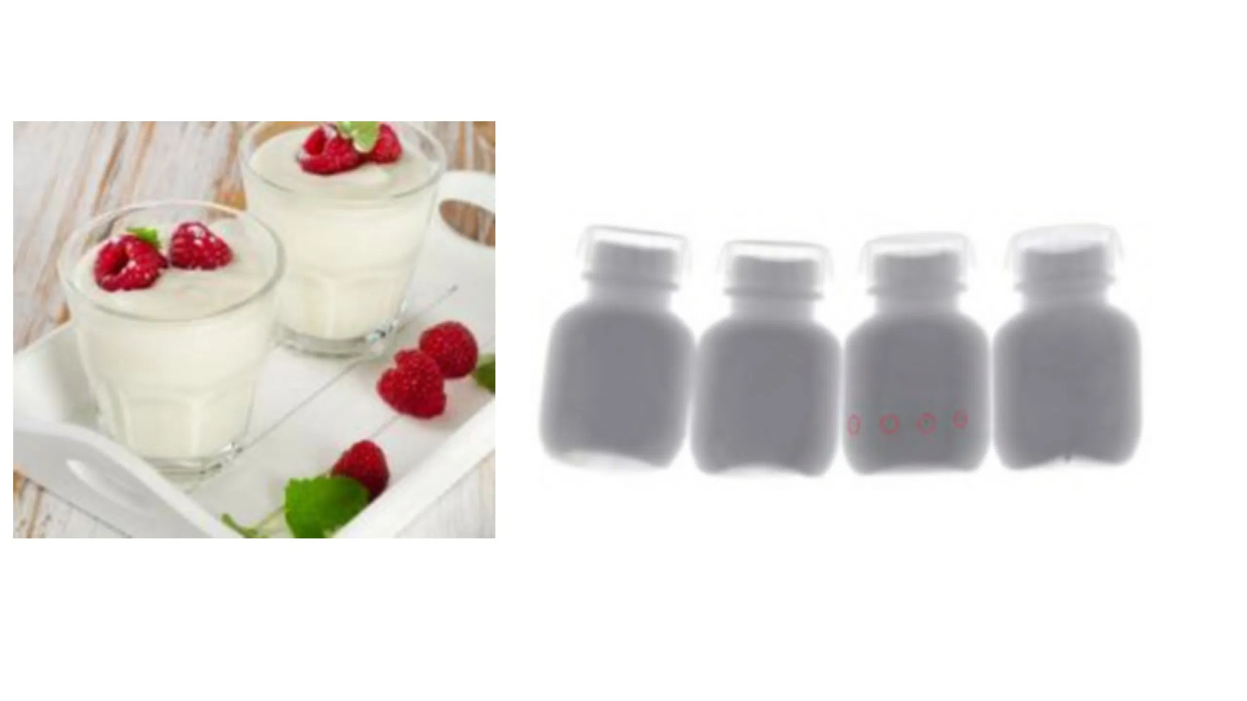 Superior X-ray Inspection Scanner for Food and Beverage Industry