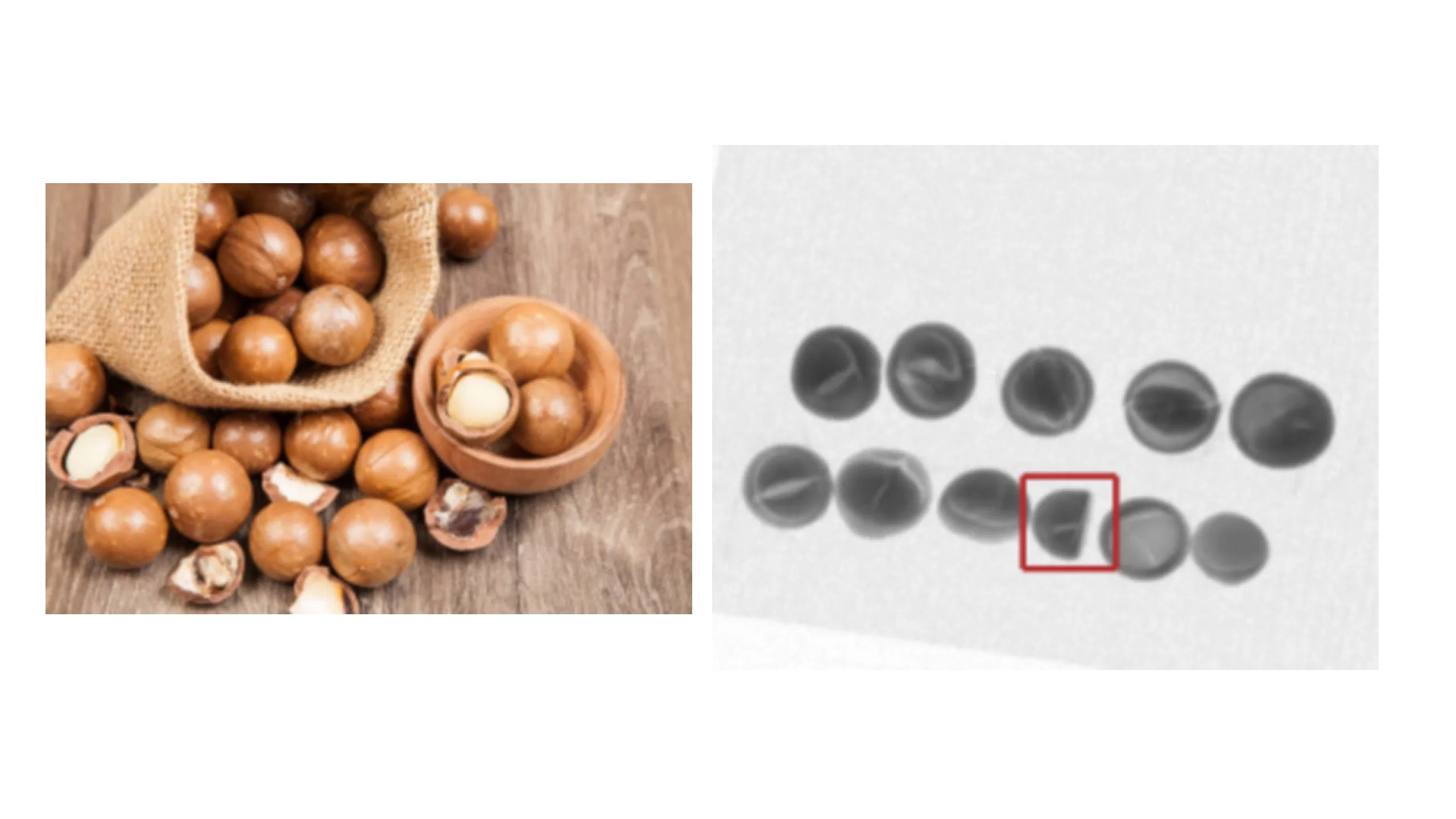 Superior X-ray Inspection Scanner for Food and Beverage Industry