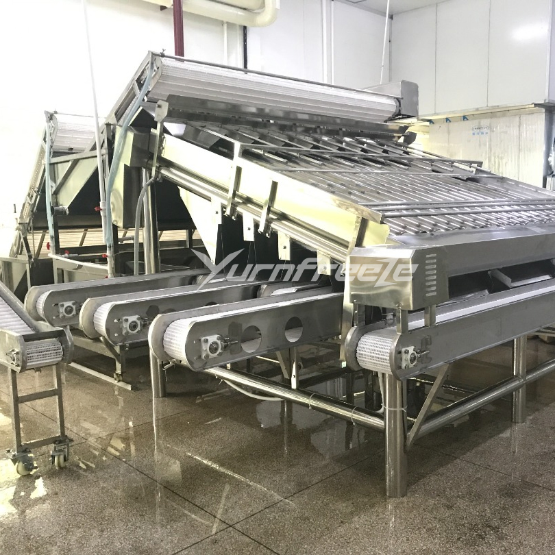 IQF Aquatic Seafood Cleaning Cooking Cooling Quick Freezing Production Machine Shrimp Processing Line