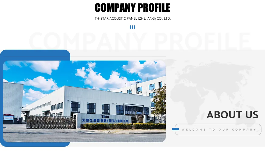 Acoustic Panel Display