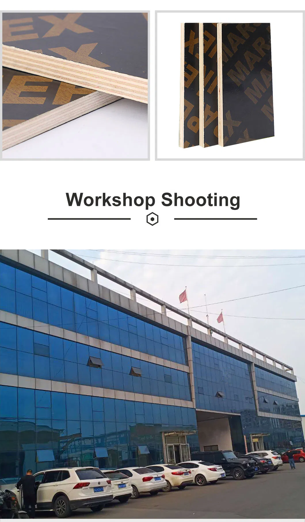 Commercial Plywood 4