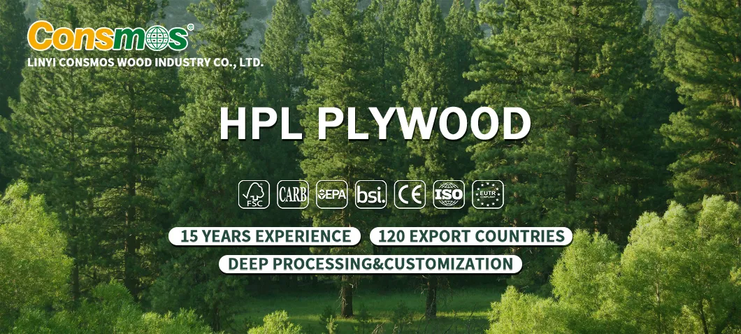 HPL Laminate Plywood