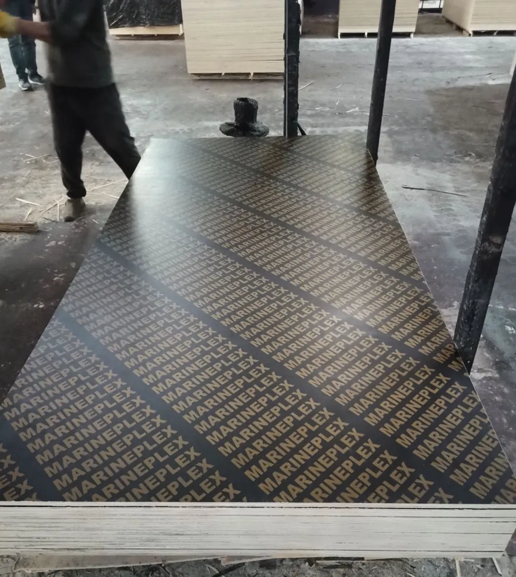 Film Faced Plywood View 3