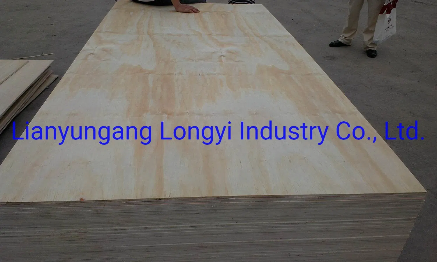 Radiata Pine Plywood for Construction