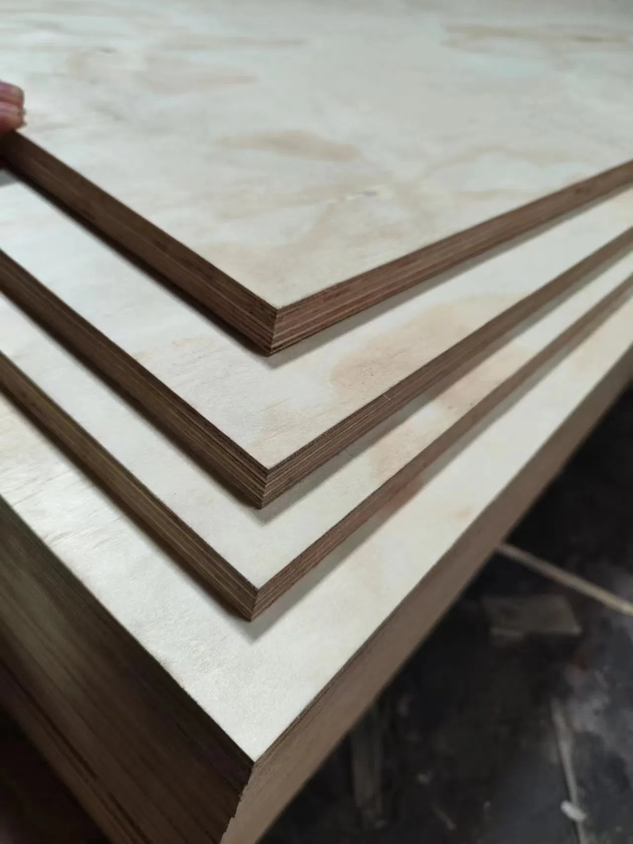 AS/NZS2269 Waterproof F8/F11 Grade Cc/CD Structural Plywood with Super E0, a-Bond and H2s Treated
