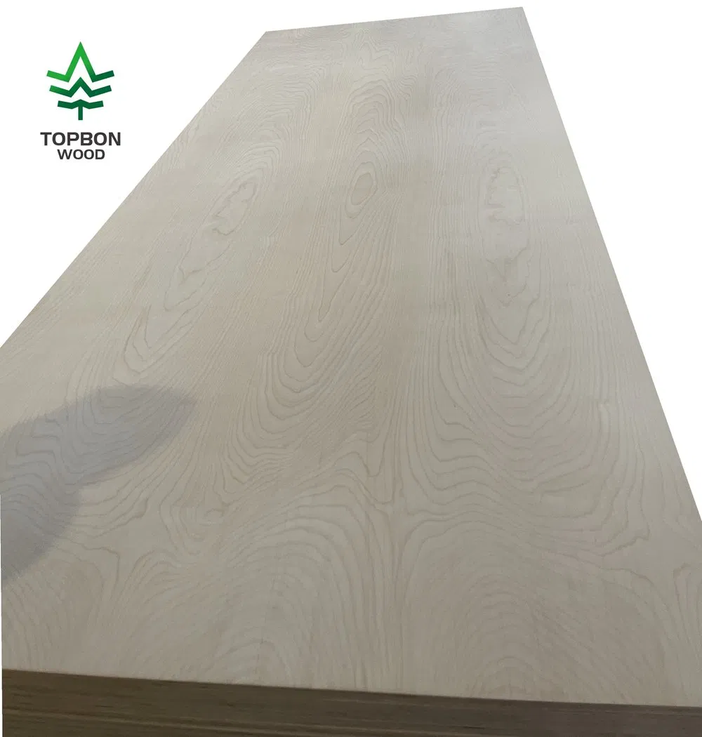 Hardwood/Flexible/Cylindrical Film Faced Plywood/Birch/Eucalyptu Core Shuttering Plywood Building Plywood