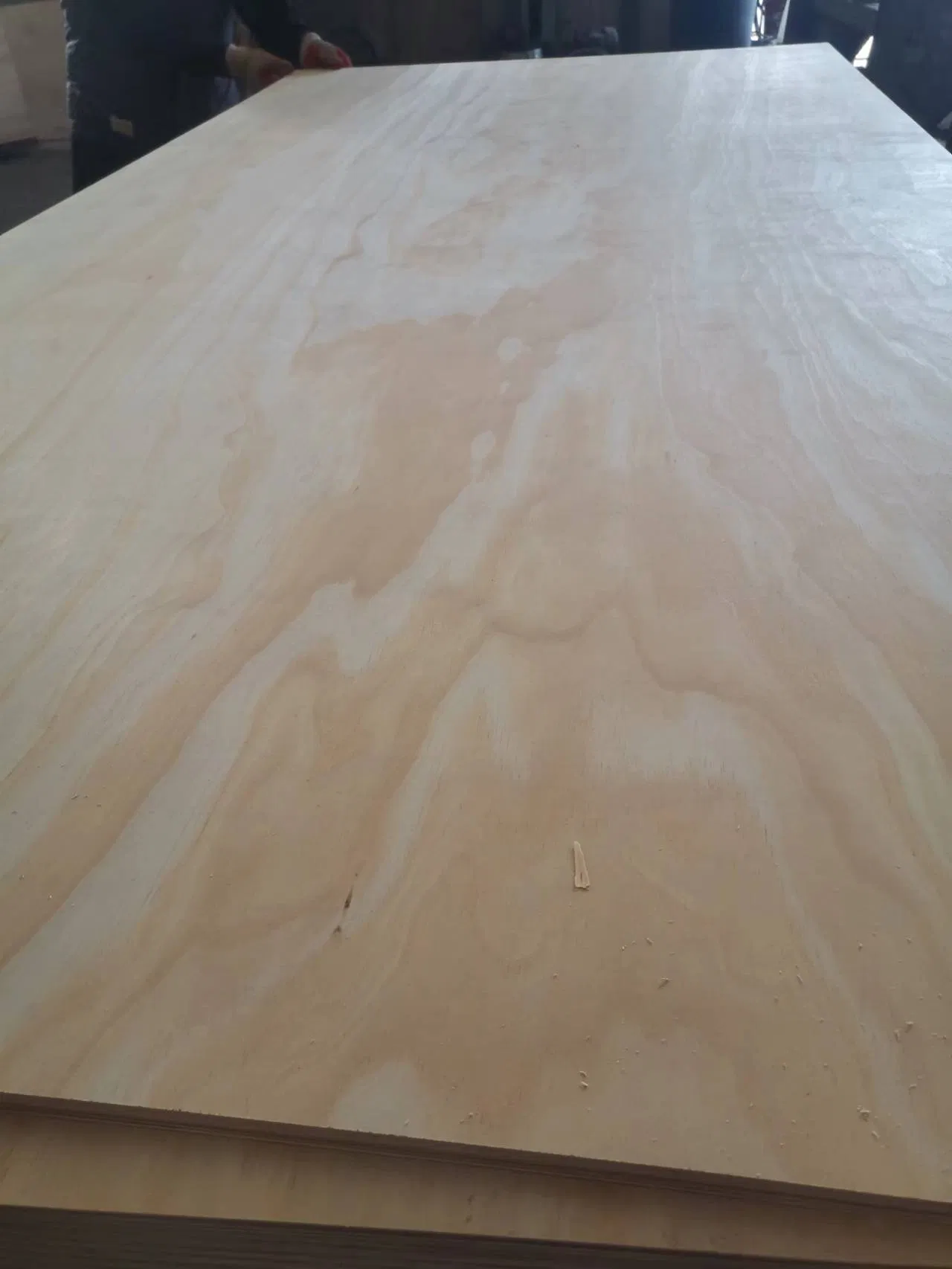 Structural Hardwood Pine Plywood 1220X2440X18mm CDX Shuttering Plywood