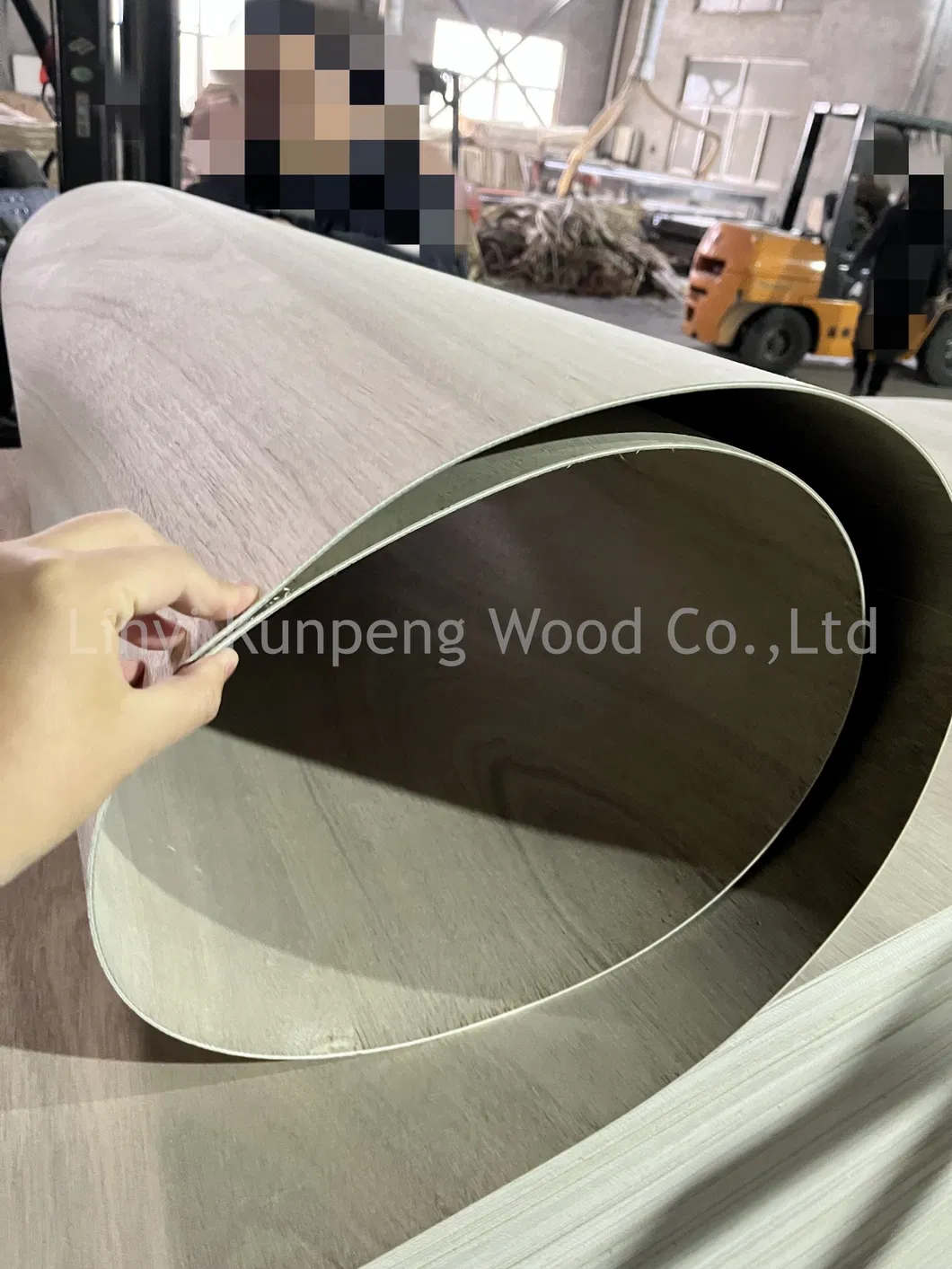 Bendable Plywood Detail 1