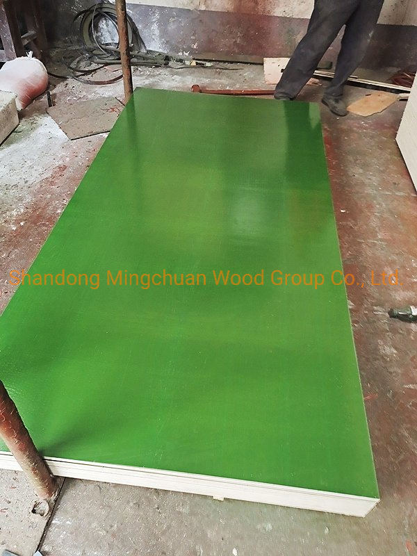 Construction Birch Plywood Marine Plywood 18mm Green PP Film Faced Plywood