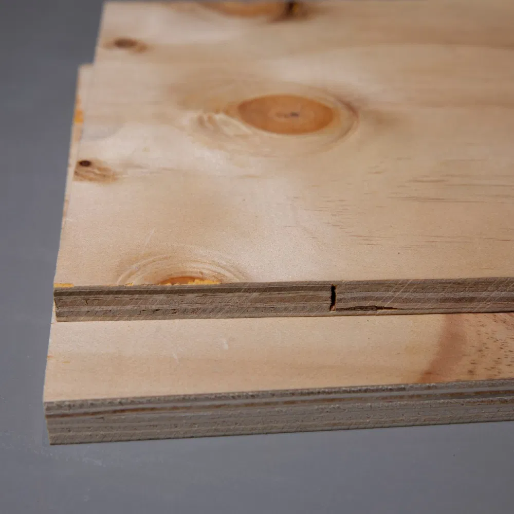 CDX Plywood Detail 2