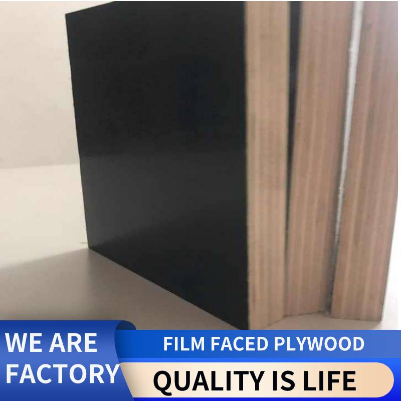 Cheap Price 1220*2440 18mm Plywood Sheet Eucalyptus Core Factory Flexible Duraplex Plywood Biz Standard Film Faced Plywood