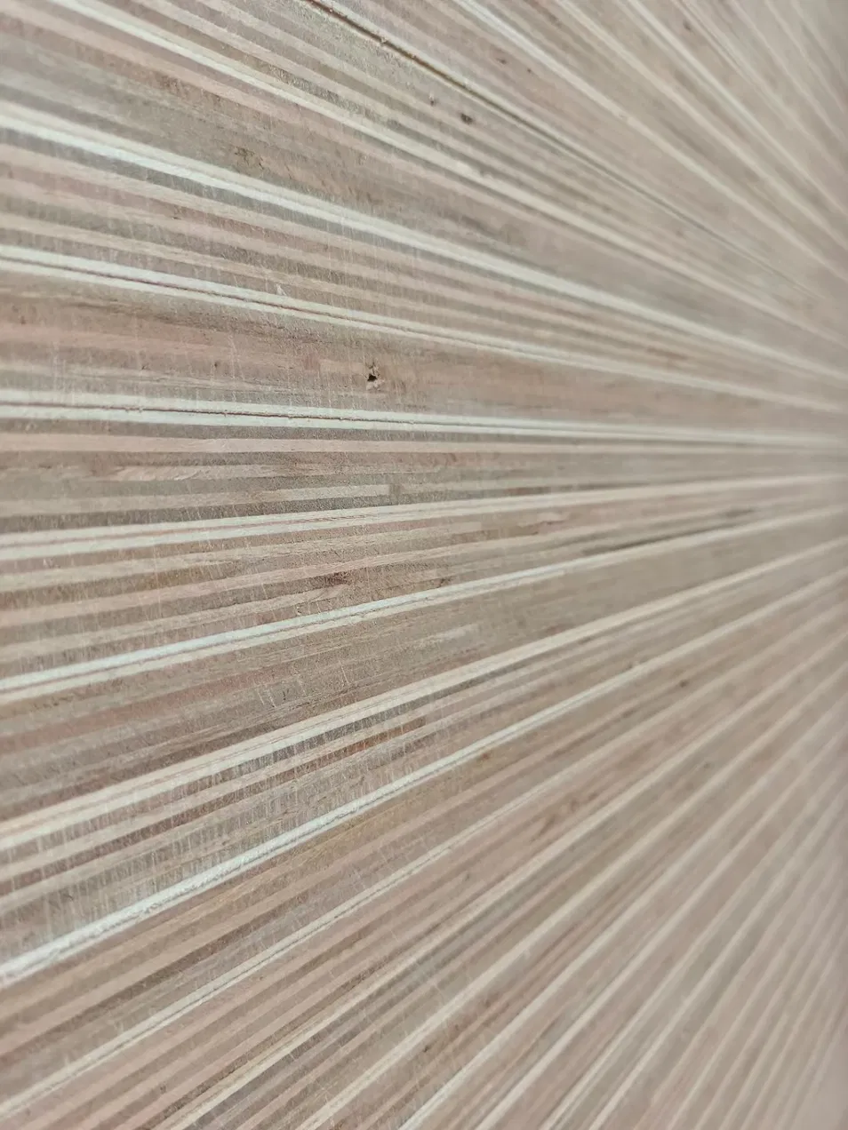 Plywood Detail 1