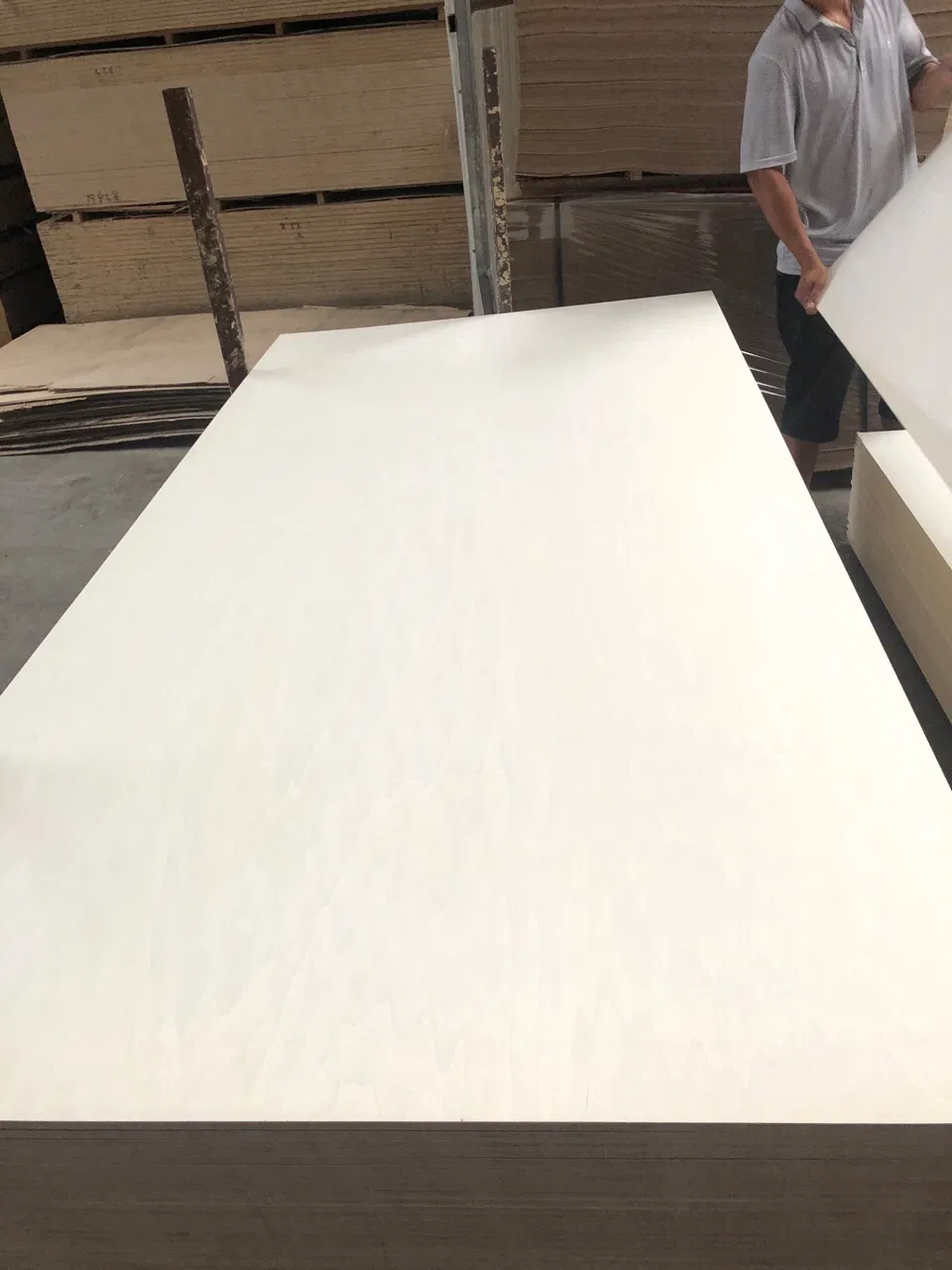 Bleached Poplar Plywood