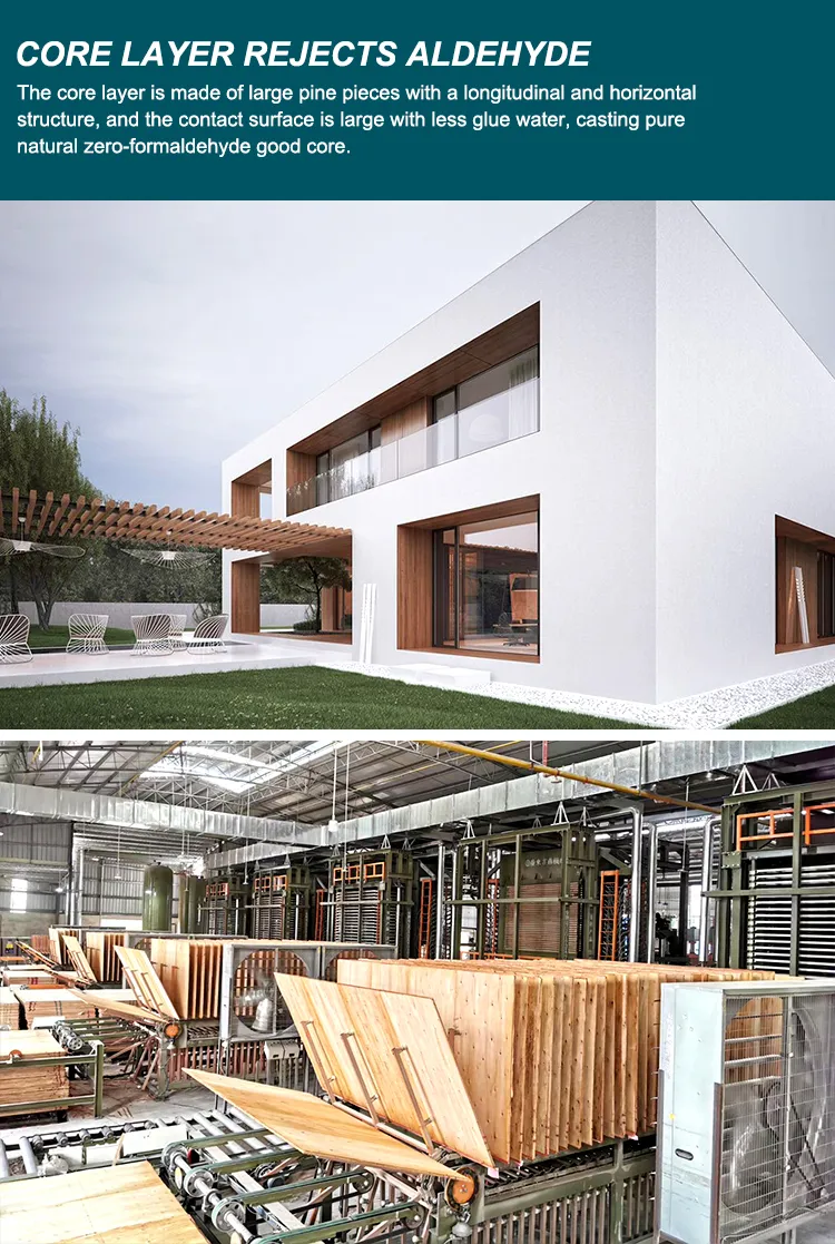 Pine Plywood Overview