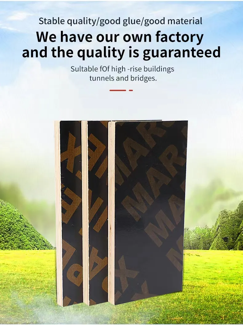 Film Faced Plywood 8