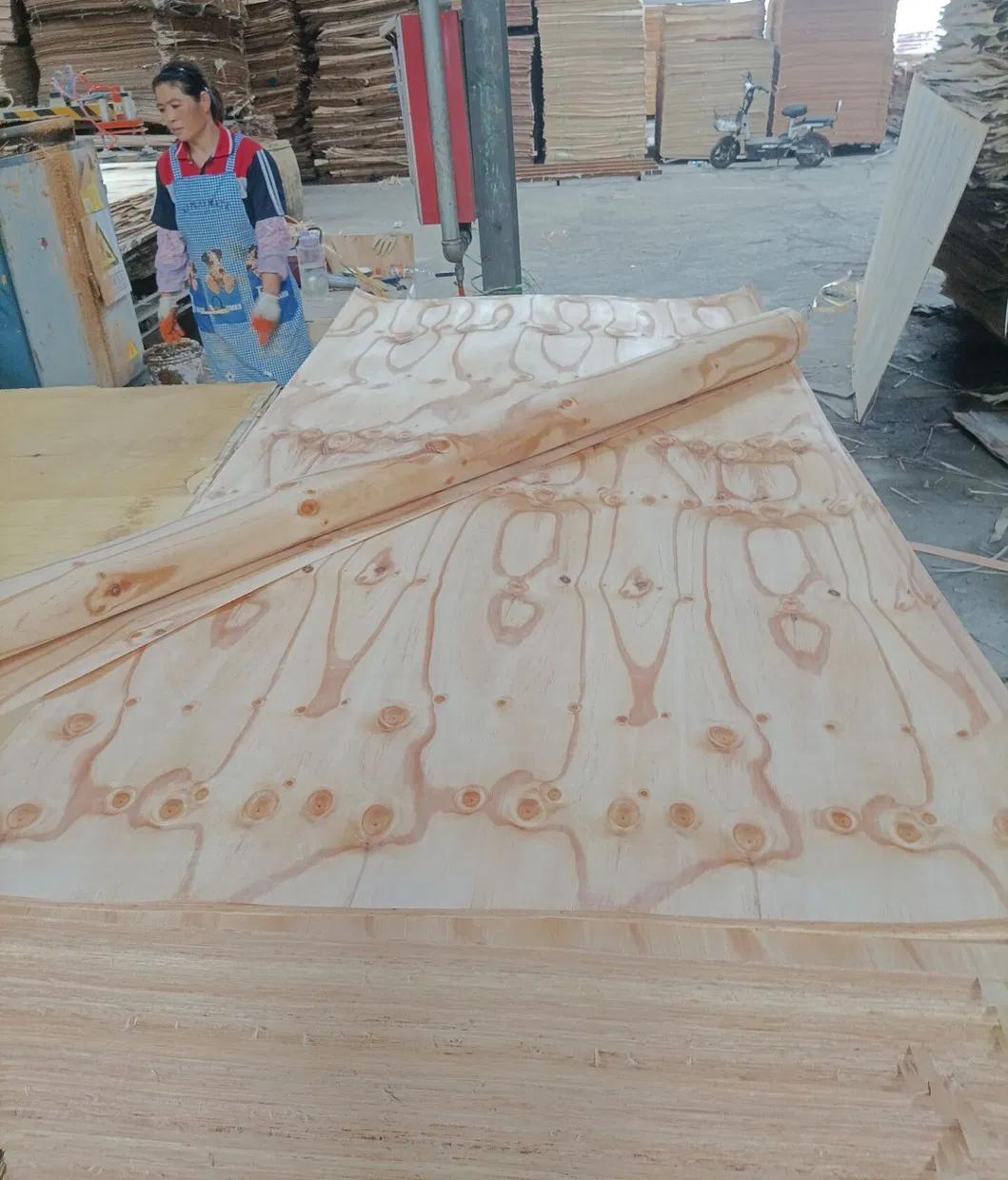Plywood Pressing
