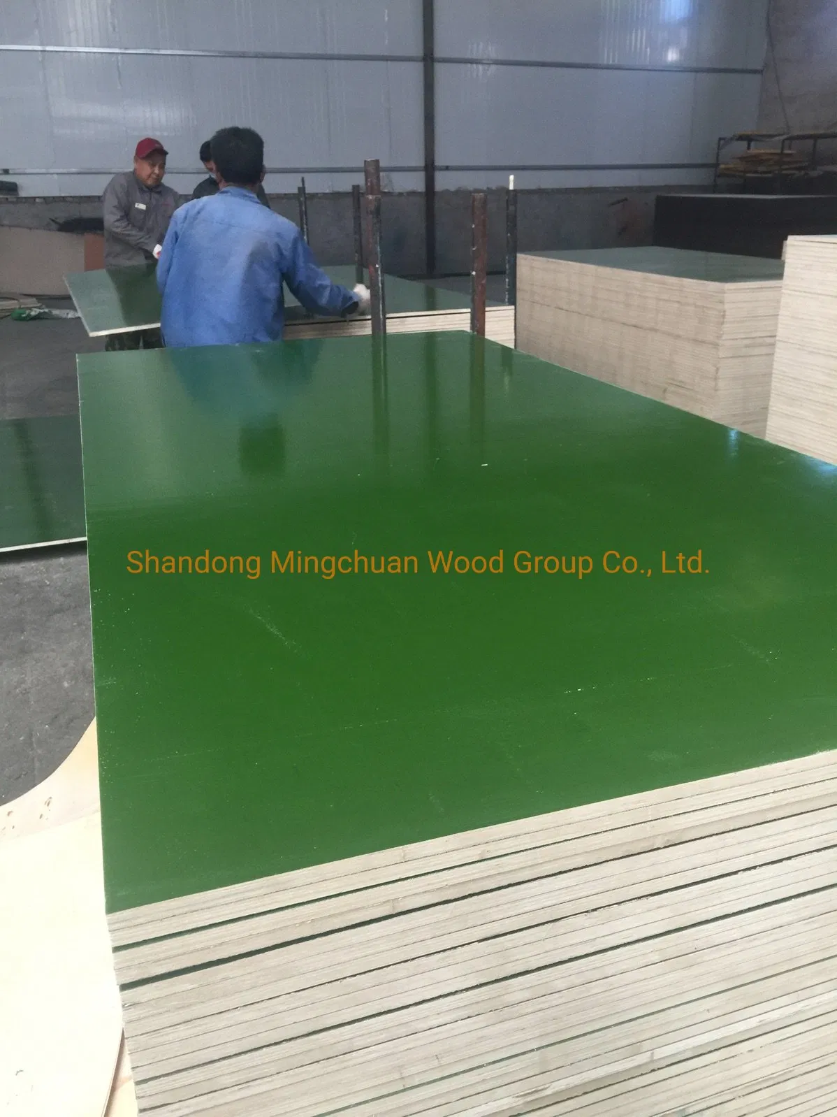 Construction Birch Plywood Marine Plywood 18mm Green PP Film Faced Plywood