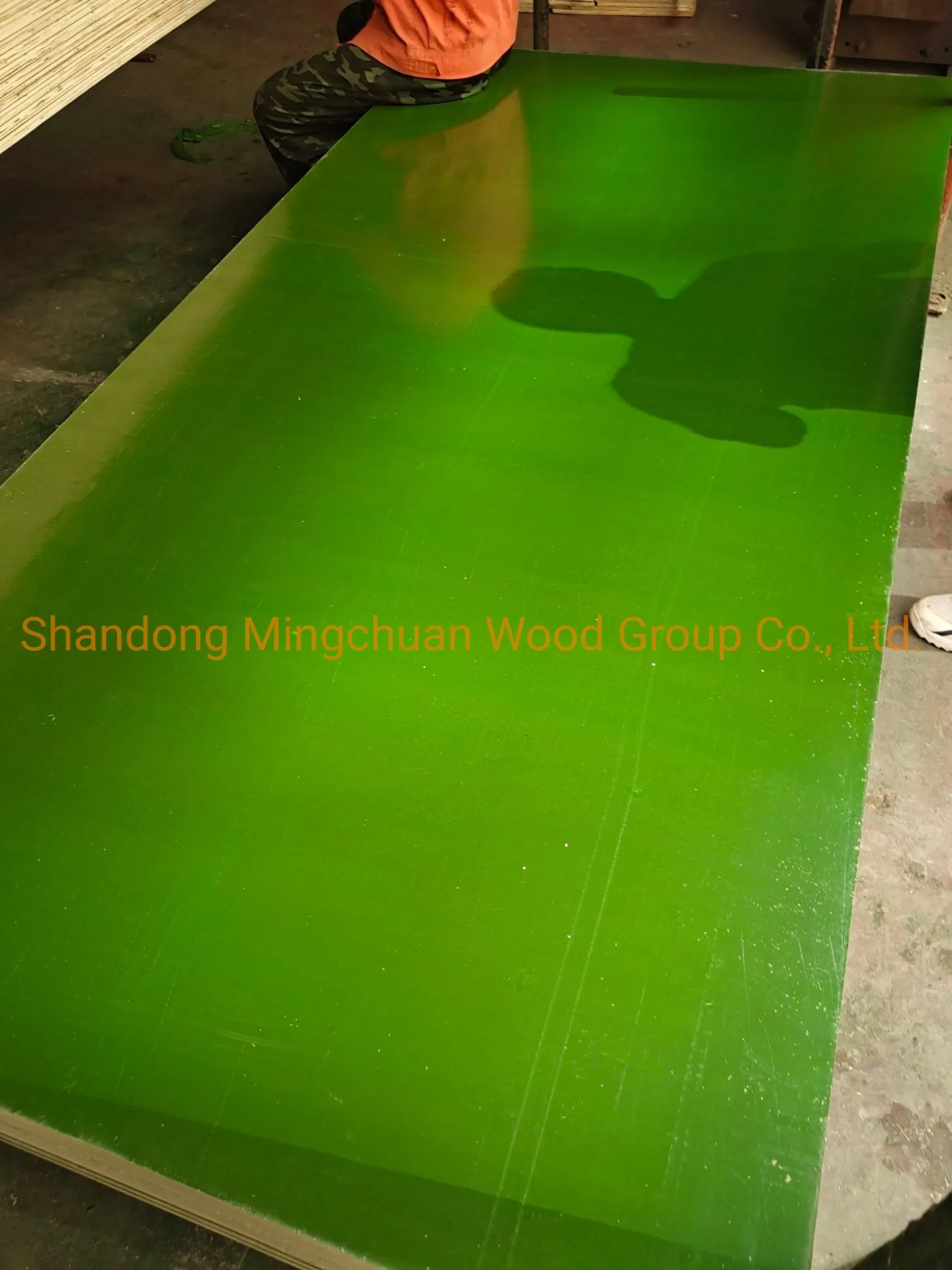 Construction Birch Plywood Marine Plywood 18mm Green PP Film Faced Plywood