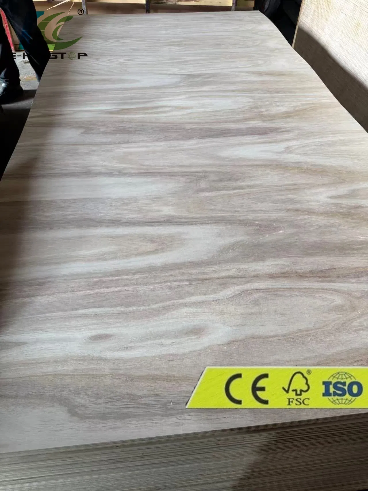 Super Paulownia, Hardwood, EV Material Soft Bending Plywood /Flexible Plywood for Furniture