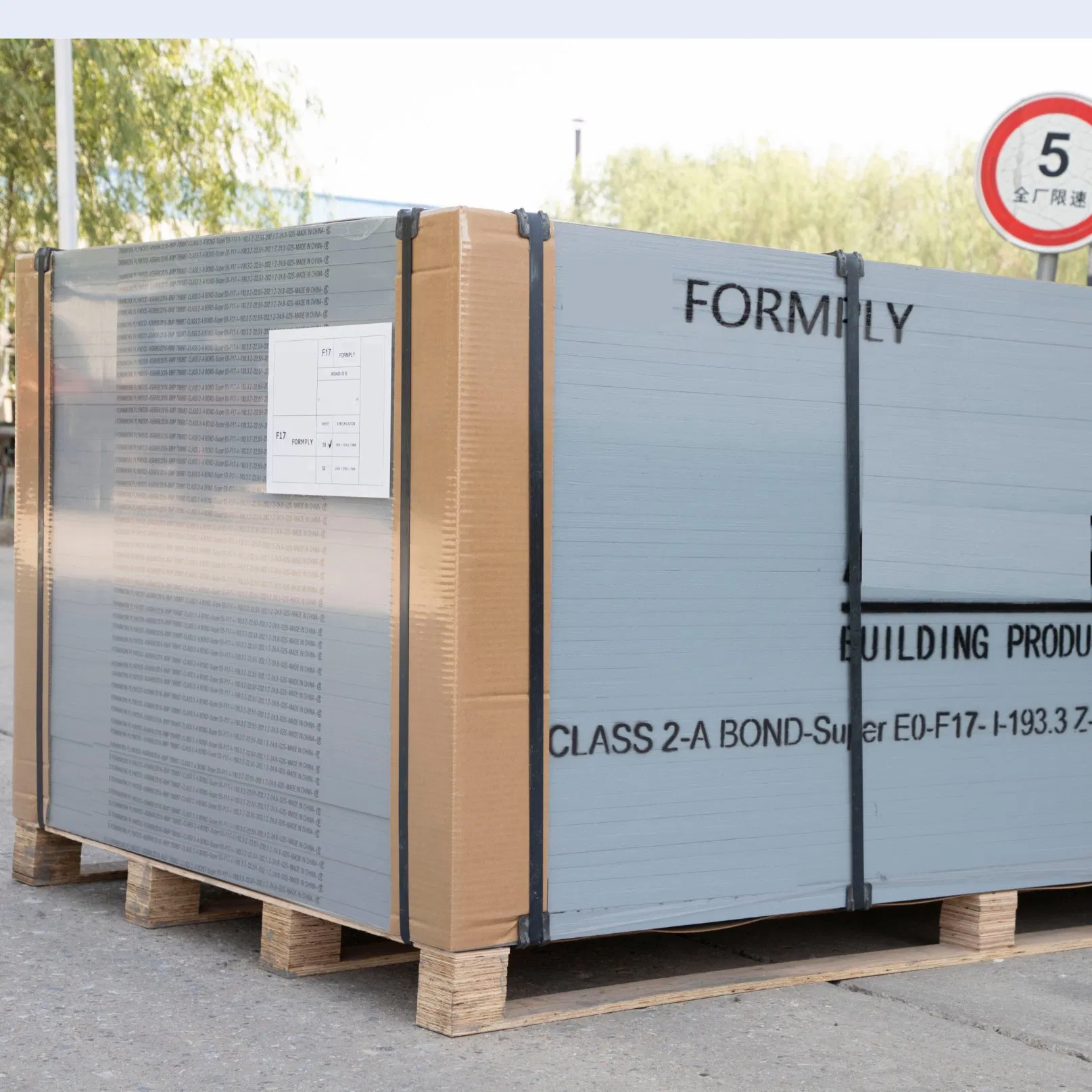 1250X2500mm 12mm 18mm Marine Plywood Birch Faced Plywood Board for Construction