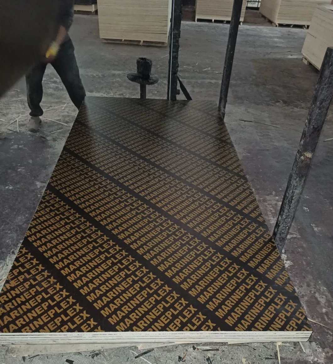 Film Faced Plywood View 1