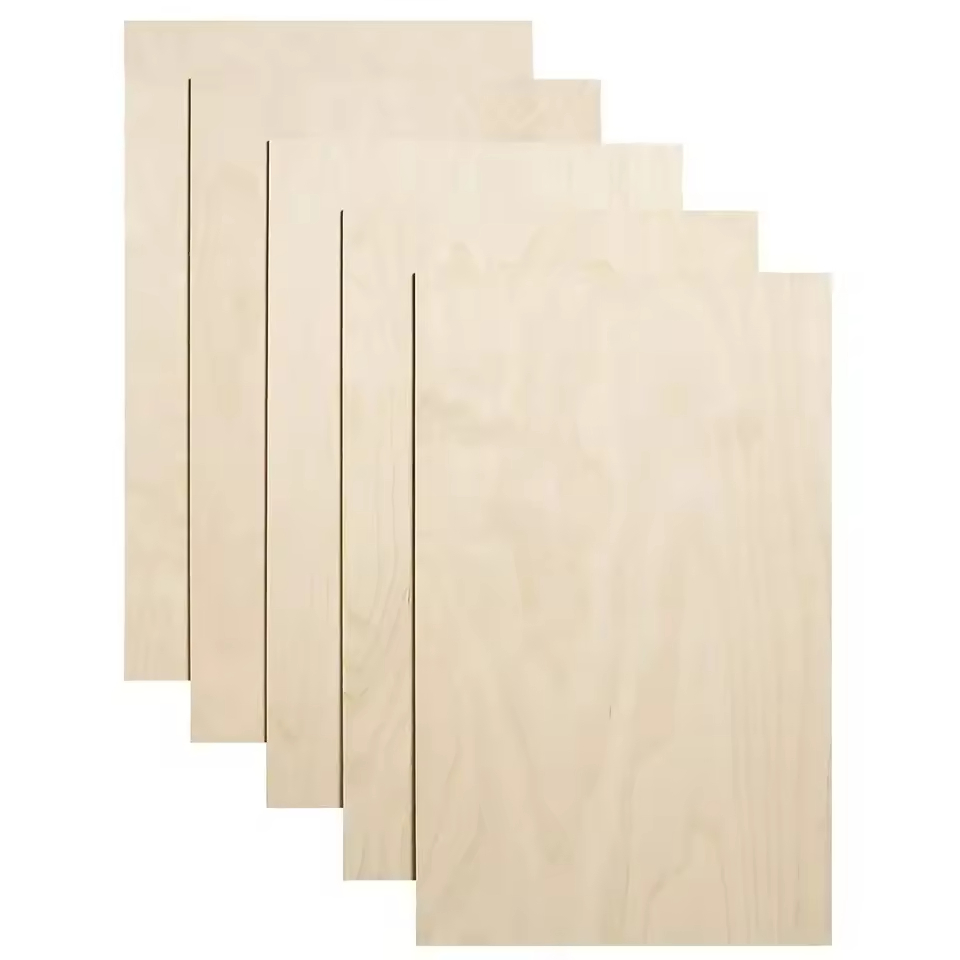 Versatile Birch Veneer Plywood for Stylish Outdoor Projects