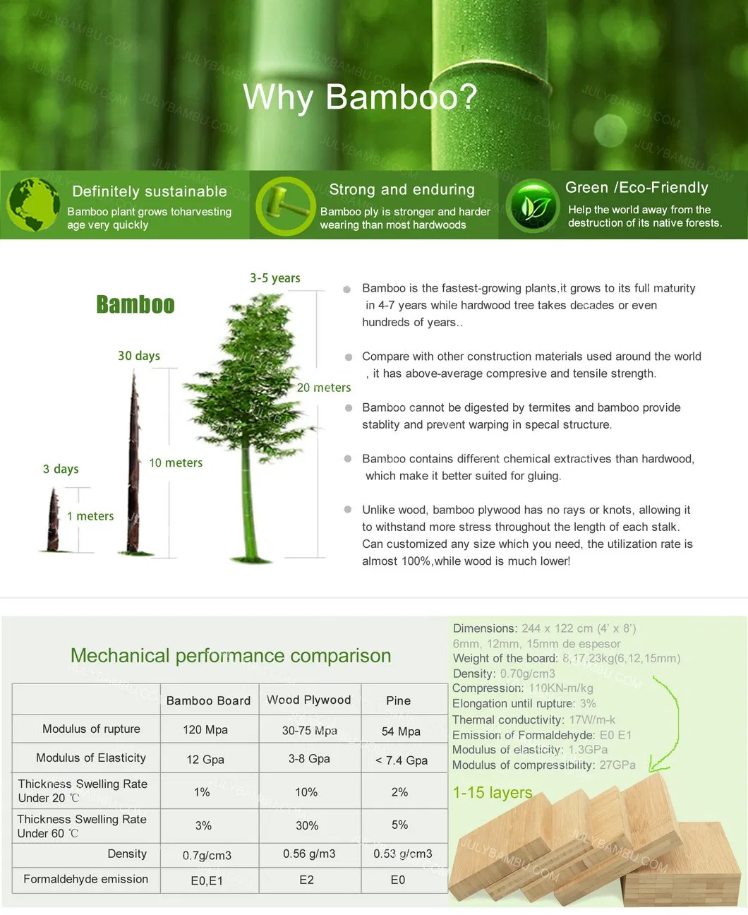 Bamboo Plywood Structure