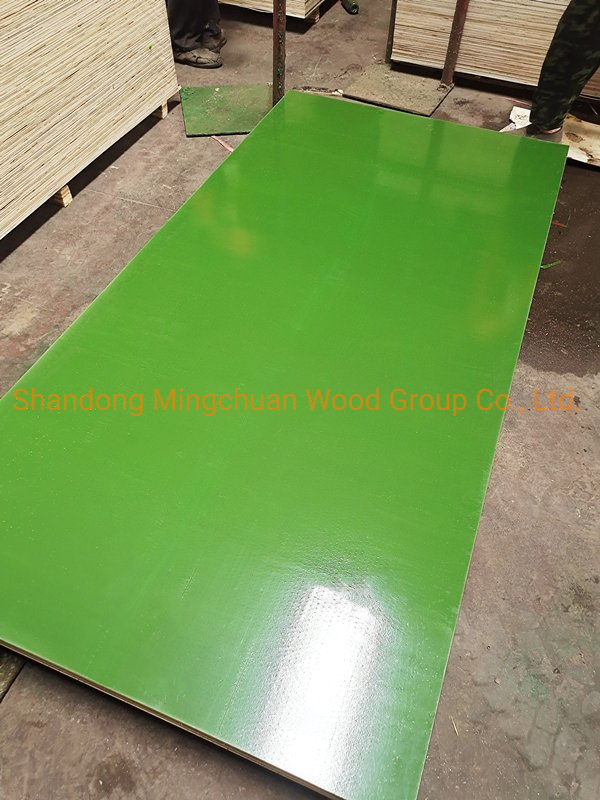 Construction Birch Plywood Marine Plywood 18mm Green PP Film Faced Plywood