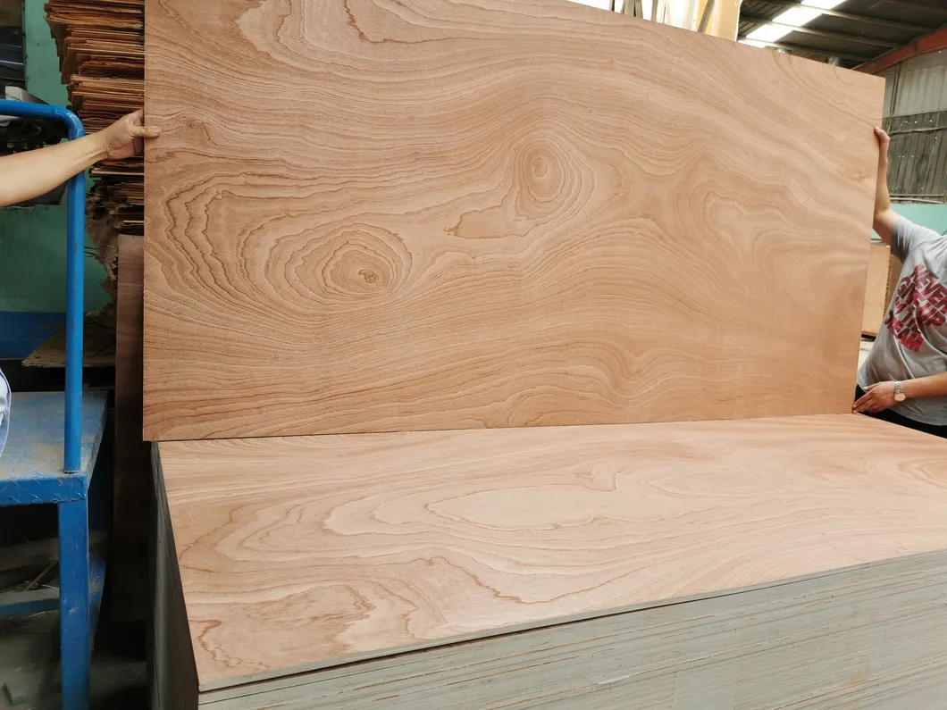 Sepele Plywood