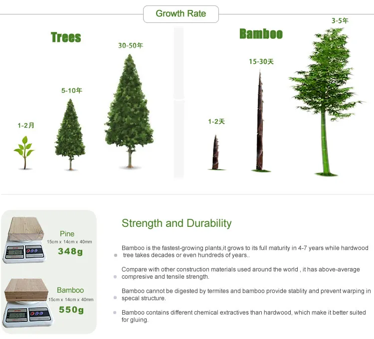Bamboo Plywood for Truck