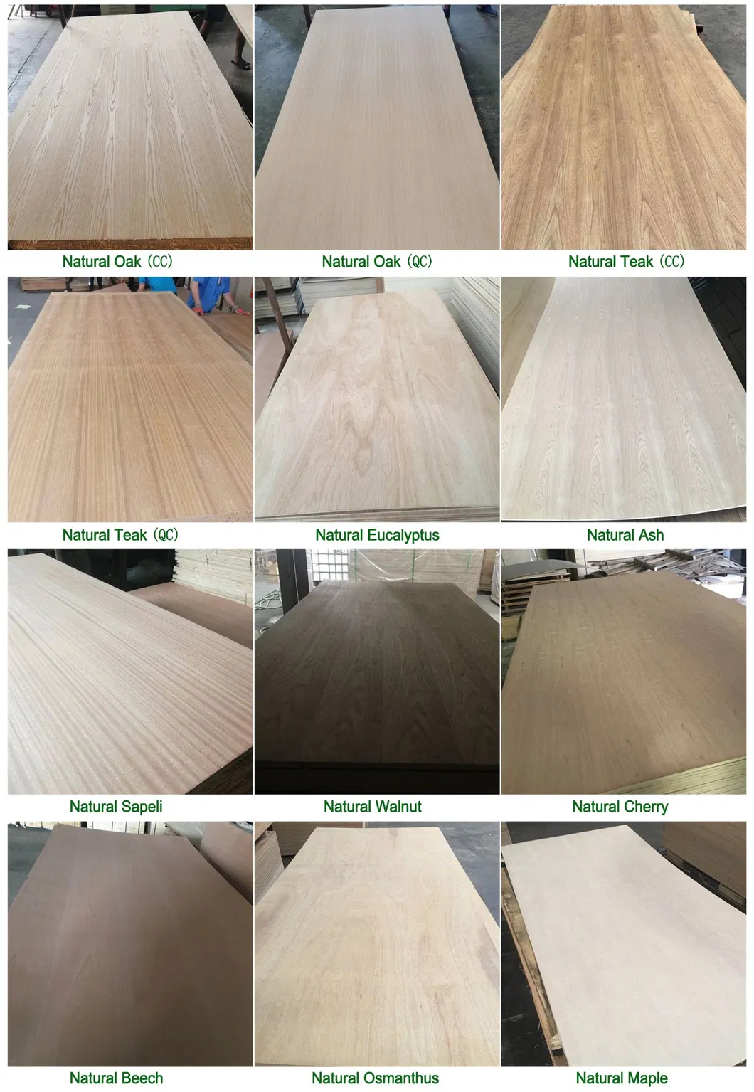 Plywood Features