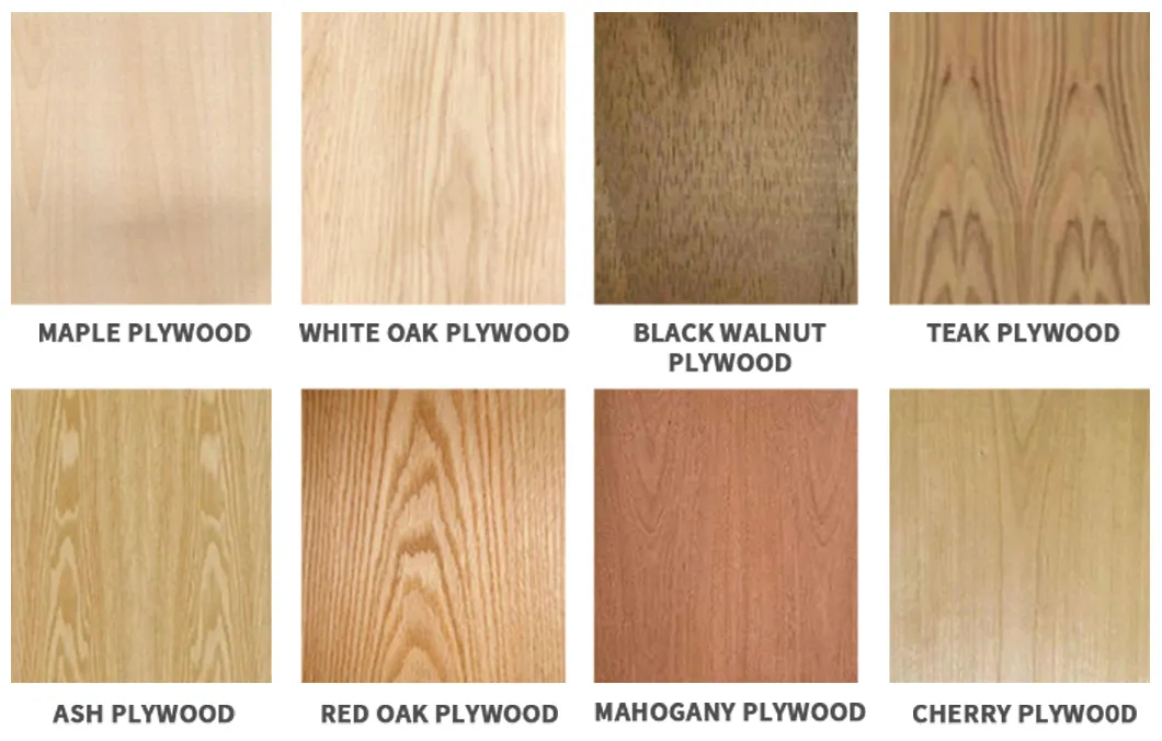 Veneer Color Chart
