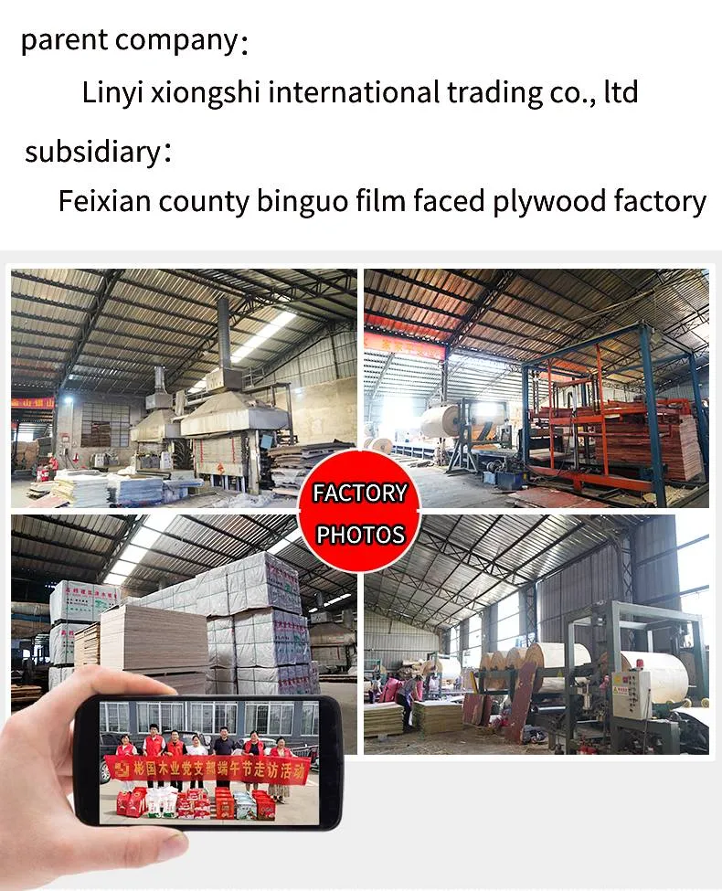 Film Faced Plywood 1