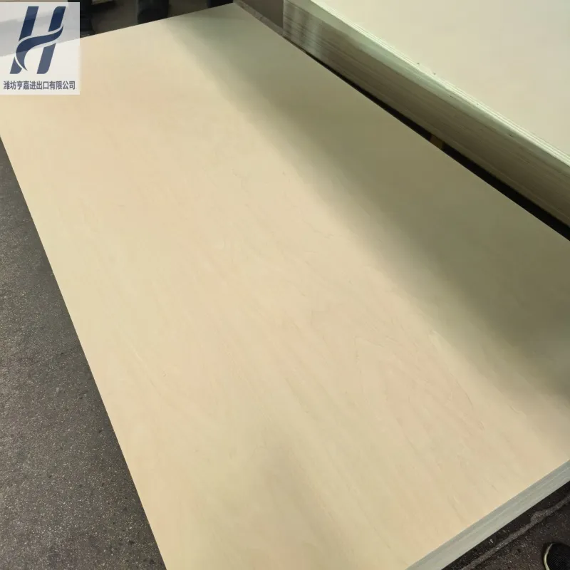 Birch Plywood Detail 3